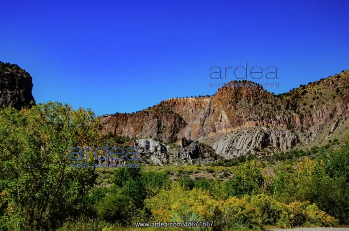 : USA, Nevada, Caliente. Rainbow Canyon : USA, Nevada, Caliente. Rainbow Canyon