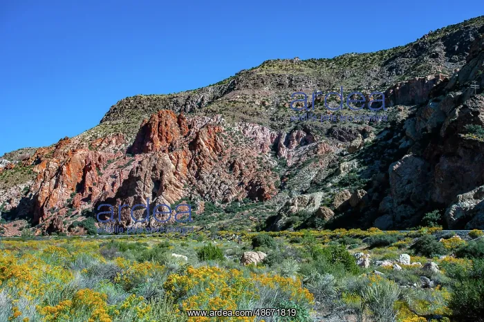 : USA, Nevada, Elgin. Rainbow Canyon : USA, Nevada, Elgin. Rainbow Canyon