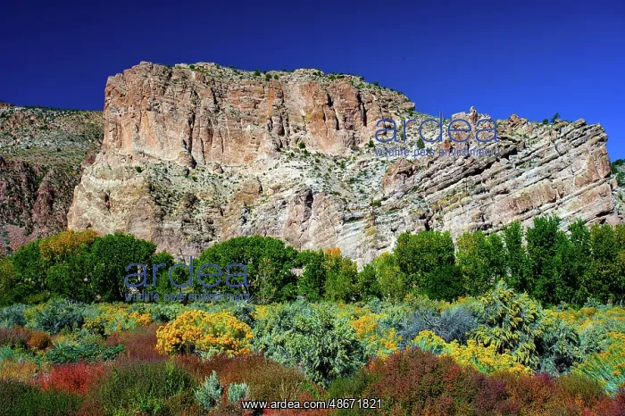  : USA, Nevada, Elgin. Rainbow Canyon