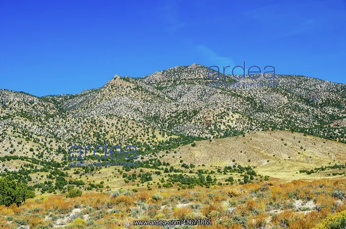 : USA, Nevada, Ely. White Pine Mountains : USA, Nevada, Ely. White Pine Mountains
