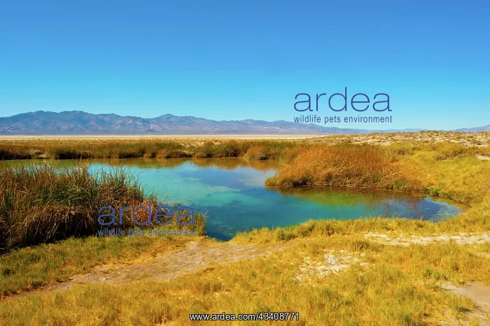 : USA, Nevada, Gerlach. Black Rock Desert, Black Rock : USA, Nevada, Gerlach. Black Rock Desert, Black Rock