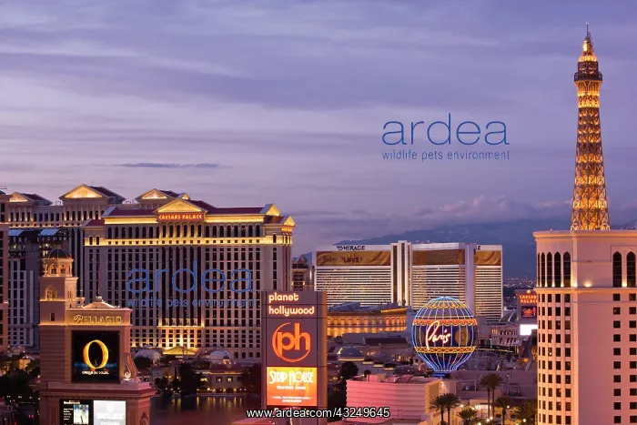 : USA, Nevada, Las Vegas. Aerial view north : USA, Nevada, Las Vegas. Aerial view north
