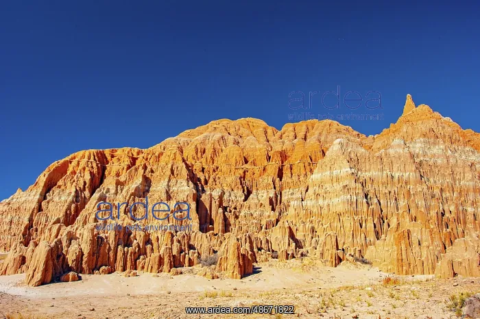 : USA, Nevada, Panaca. Cathedral Gorge State Park : USA, Nevada, Panaca. Cathedral Gorge State Park