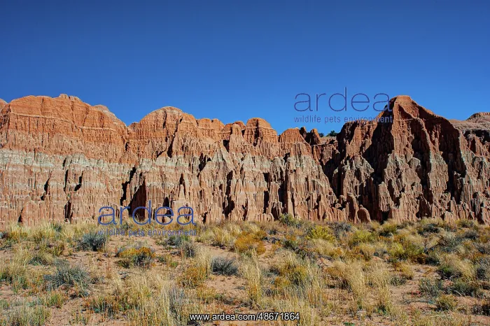 : USA, Nevada, Panaca. Cathedral Gorge State Park : USA, Nevada, Panaca. Cathedral Gorge State Park