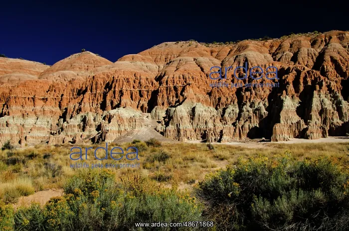 : USA, Nevada, Panaca. Cathedral Gorge State Park, sculpted : USA, Nevada, Panaca. Cathedral Gorge State Park, sculpted