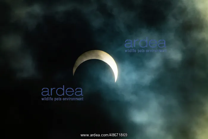 : USA, Nevada, Winnemucca. Annular Solar Eclipse, Blueish : USA, Nevada, Winnemucca. Annular Solar Eclipse, Blueish