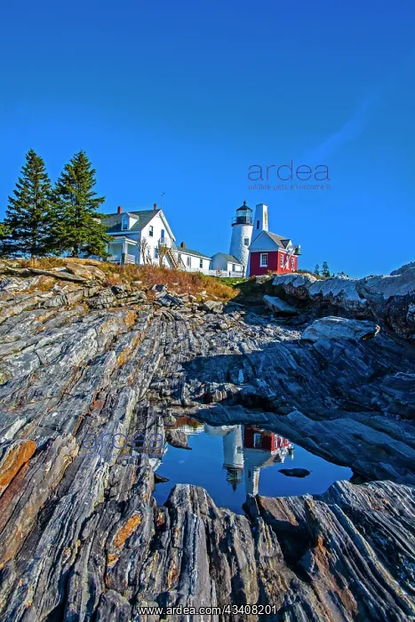 : USA, New England, Maine, Pemaquid Point Lighthouse : USA, New England, Maine, Pemaquid Point Lighthouse