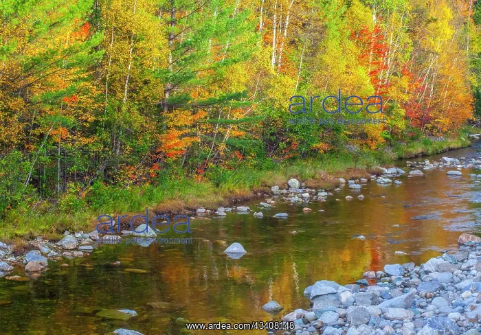  : USA, New England, Maine, Wild River, reflections