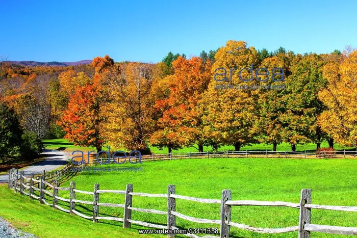 : USA, New England, Vermont countryside with curved