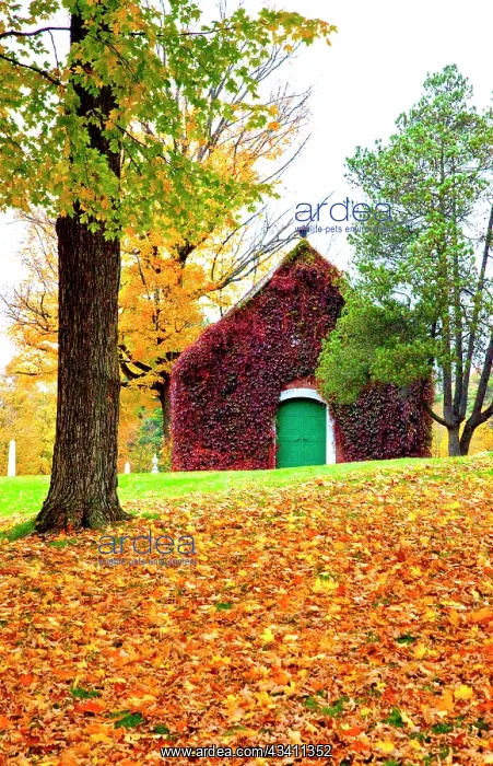 : USA, New England, Vermont old brick building covered : USA, New England, Vermont old brick building covered