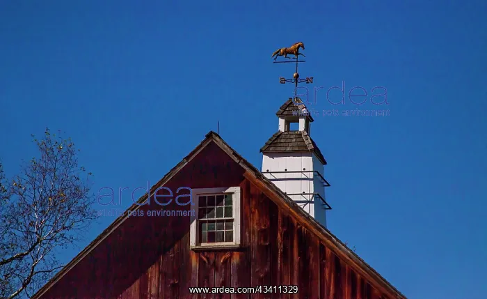 : USA, New England, Vermont weather vane on top of : USA, New England, Vermont weather vane on top of