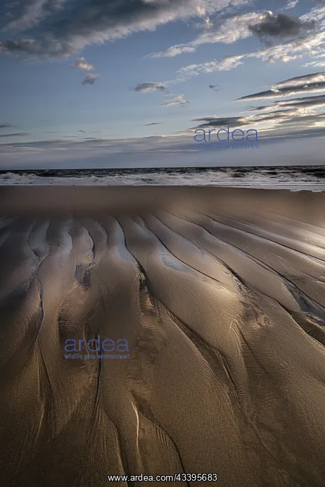 : USA, New Jersey, Cape May National Seashore. Sunset : USA, New Jersey, Cape May National Seashore. Sunset
