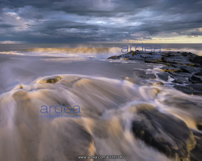  : USA, New Jersey, Cape May National Seashore. Sunset