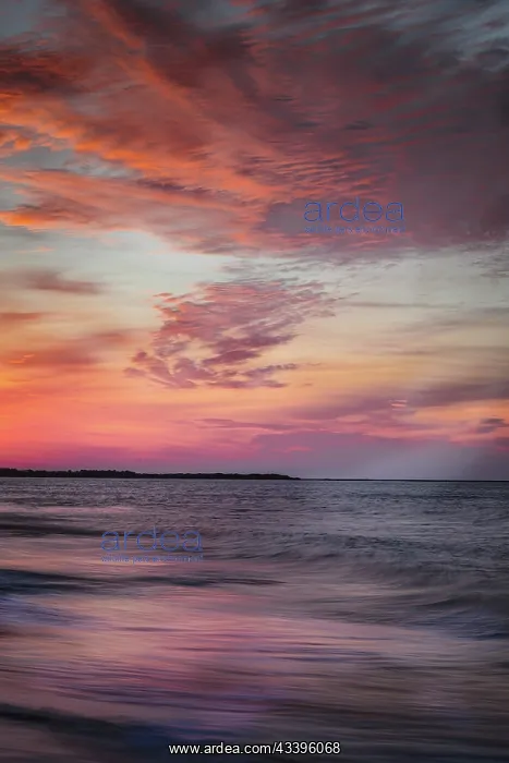 : USA, New Jersey, Cape May National Seashore. Sunset : USA, New Jersey, Cape May National Seashore. Sunset