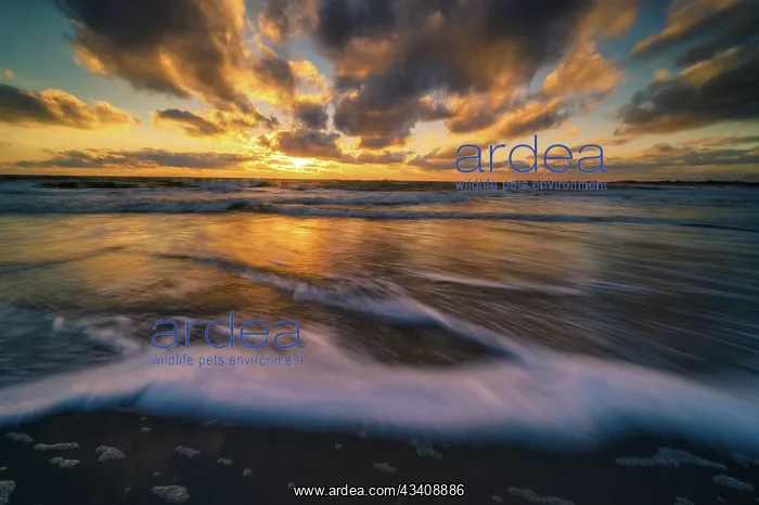 : USA, New Jersey, Cape May National Seashore. Sunset : USA, New Jersey, Cape May National Seashore. Sunset