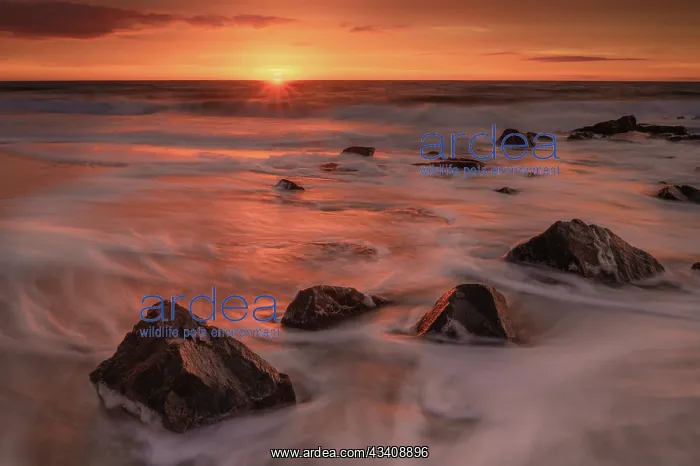 : USA, New Jersey, Cape May National Seashore. Sunrise : USA, New Jersey, Cape May National Seashore. Sunrise