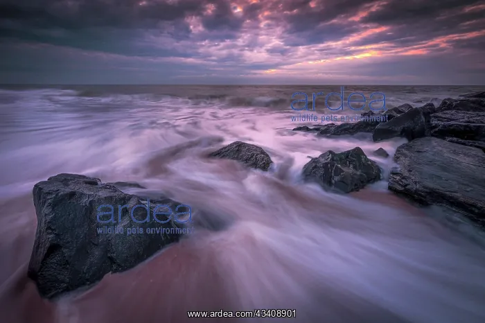 : USA, New Jersey, Cape May National Seashore. Sunrise : USA, New Jersey, Cape May National Seashore. Sunrise