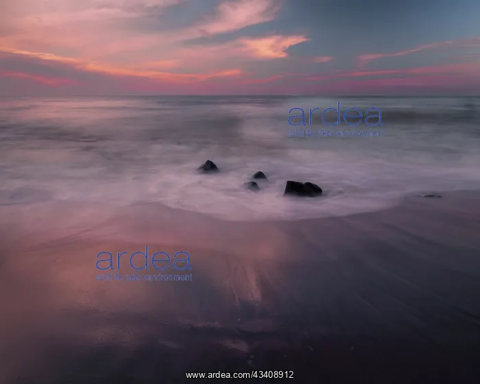 : USA, New Jersey, Cape May National Seashore. Sunrise : USA, New Jersey, Cape May National Seashore. Sunrise