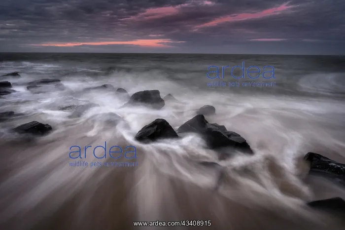 : USA, New Jersey, Cape May National Seashore. Sunrise : USA, New Jersey, Cape May National Seashore. Sunrise