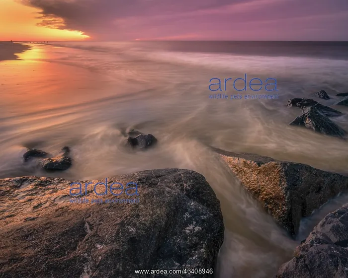 : USA, New Jersey, Cape May National Seashore. Sunset : USA, New Jersey, Cape May National Seashore. Sunset