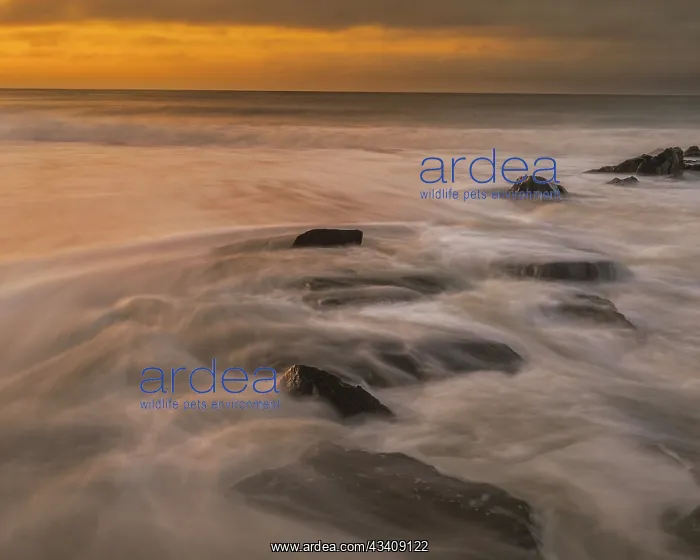 : USA, New Jersey, Cape May National Seashore. Sunrise : USA, New Jersey, Cape May National Seashore. Sunrise