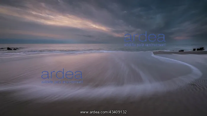 : USA, New Jersey, Cape May National Seashore. Sunset : USA, New Jersey, Cape May National Seashore. Sunset