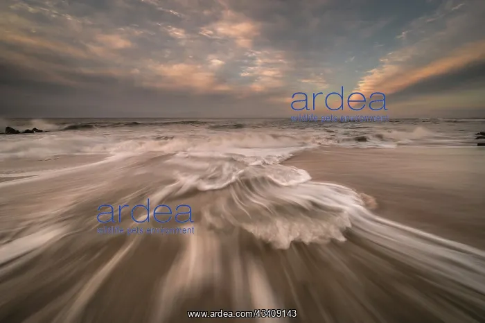 : USA, New Jersey, Cape May National Seashore. Sunset : USA, New Jersey, Cape May National Seashore. Sunset