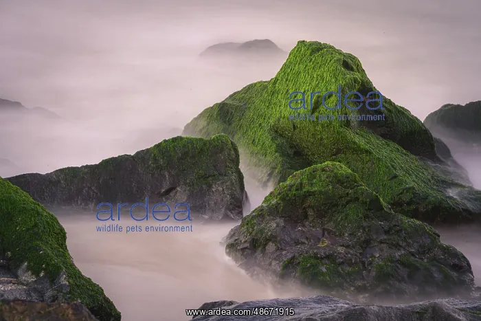 : USA, New Jersey, Cape May National Seashore. Sunrise on : USA, New Jersey, Cape May National Seashore. Sunrise on