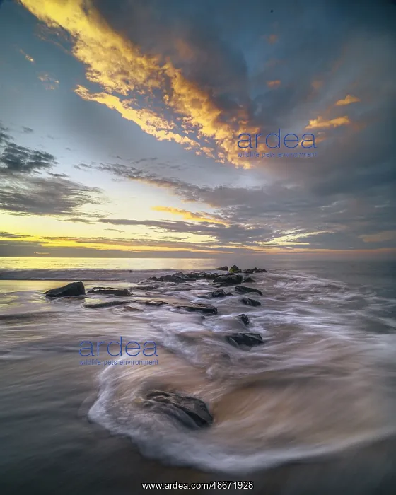 : USA, New Jersey, Cape May National Seashore. Ocean shore at : USA, New Jersey, Cape May National Seashore. Ocean shore at