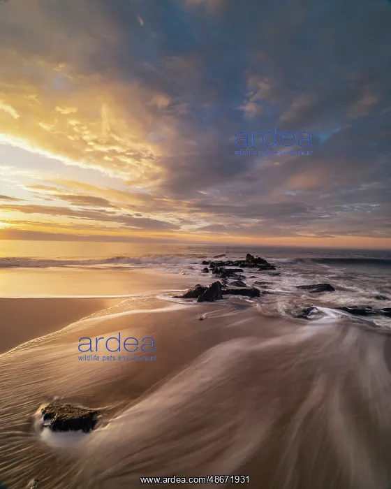 : USA, New Jersey, Cape May National Seashore. Ocean shore at : USA, New Jersey, Cape May National Seashore. Ocean shore at