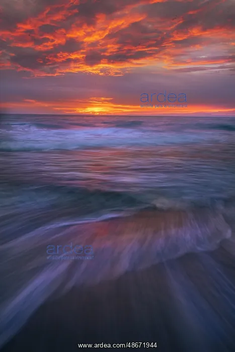 : USA, New Jersey, Cape May National Seashore. Ocean and beach : USA, New Jersey, Cape May National Seashore. Ocean and beach