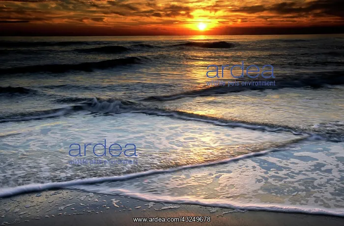 : USA, New Jersey, Cape May. Sunset reflection : USA, New Jersey, Cape May. Sunset reflection