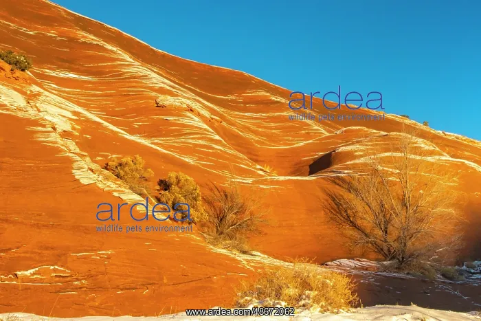  : USA, New Mexico, Gallup, Red Rock Park. Sunrise and snow on