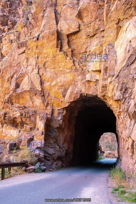 : USA, New Mexico, Jemez National Recreation Area. Gilman : USA, New Mexico, Jemez National Recreation Area. Gilman