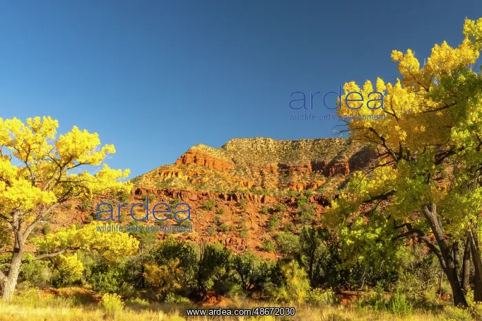  : USA, New Mexico, Jemez National Recreation Area. Cliff and