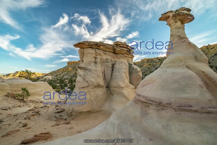 : USA, New Mexico, Ojito Wilderness. Eroded desert rocks : USA, New Mexico, Ojito Wilderness. Eroded desert rocks