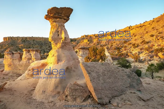 : USA, New Mexico, Ojito Wilderness. Eroded desert rocks : USA, New Mexico, Ojito Wilderness. Eroded desert rocks