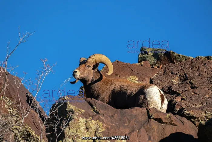: USA, New Mexico, Rio Grande del Norte National Monument : USA, New Mexico, Rio Grande del Norte National Monument