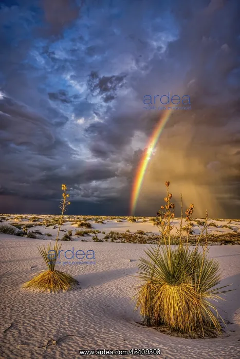 : USA, New Mexico, White Sands National Park. Thunderstorm : USA, New Mexico, White Sands National Park. Thunderstorm