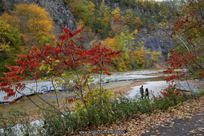 : USA, New York. Couple walking along creek, Taughannock Falls : USA, New York. Couple walking along creek, Taughannock Falls