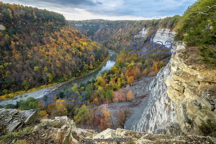 : USA, New York. Genesee River winds through Letchworth State : USA, New York. Genesee River winds through Letchworth State