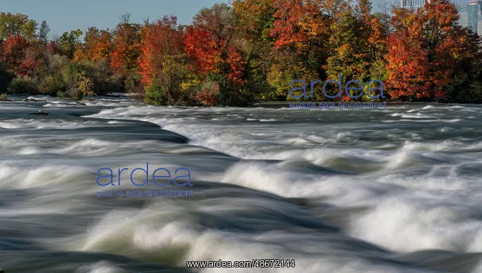 : USA, New York. Niagara River, fall foliage and rapids : USA, New York. Niagara River, fall foliage and rapids