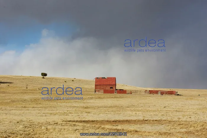 : USA - old barn on New Mexico Prairie with approaching : USA - old barn on New Mexico Prairie with approaching