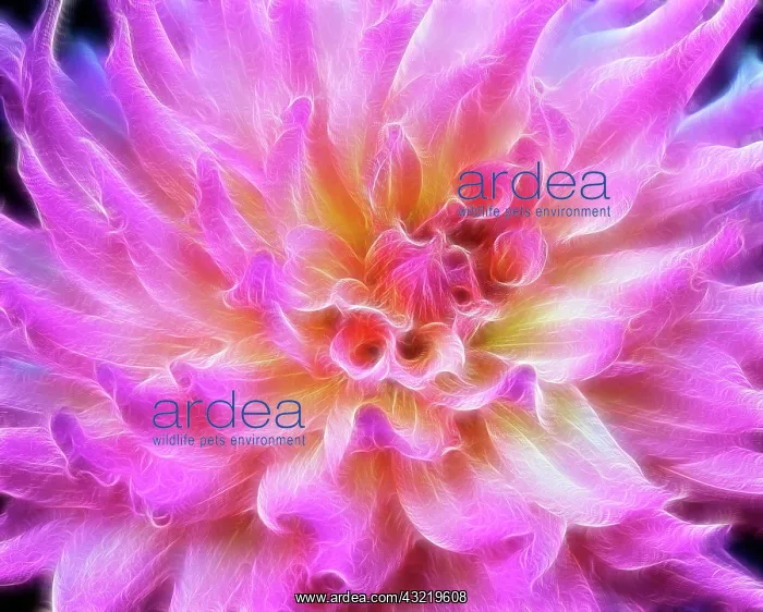 : USA, Oregon. Abstract of digitally altered : USA, Oregon. Abstract of digitally altered