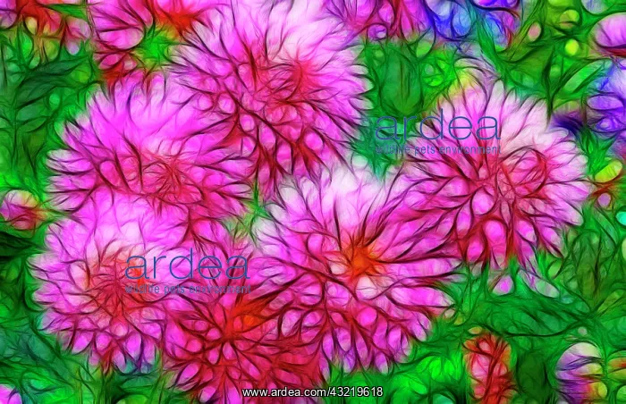 : USA, Oregon. Abstract of digitally altered : USA, Oregon. Abstract of digitally altered