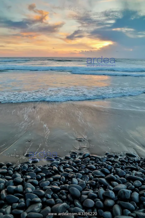: USA, Oregon, Arch Cape. Pacific coastline last evening : USA, Oregon, Arch Cape. Pacific coastline last evening