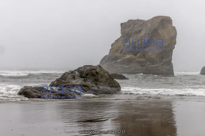 : Usa, Oregon, Bandon. Bandon Beach, Late Afternoon : Usa, Oregon, Bandon. Bandon Beach, Late Afternoon