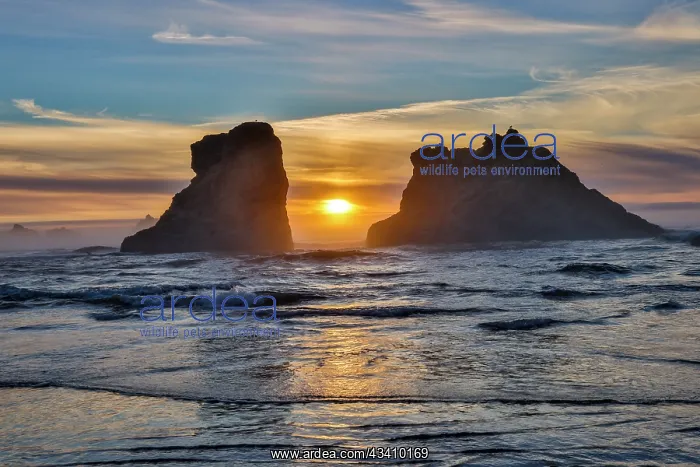 : Usa, Oregon, Bandon. Bandon Beach, Sunset at the Beach : Usa, Oregon, Bandon. Bandon Beach, Sunset at the Beach