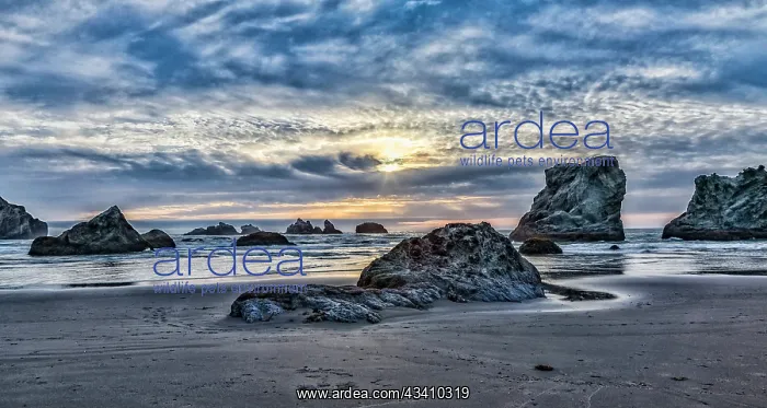 : USA, Oregon, Bandon, Beach : USA, Oregon, Bandon, Beach