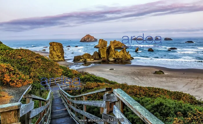 : USA, Oregon, Bandon, Beach : USA, Oregon, Bandon, Beach